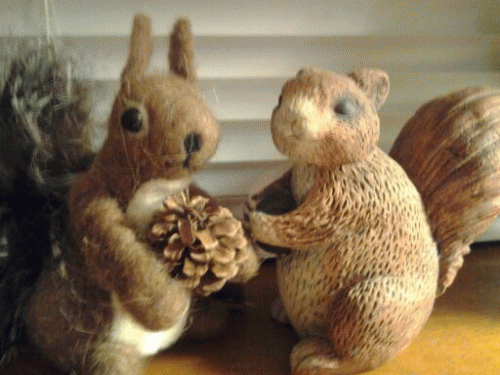 Sloth (USA-2) : 2 Squirrels Getting Married!